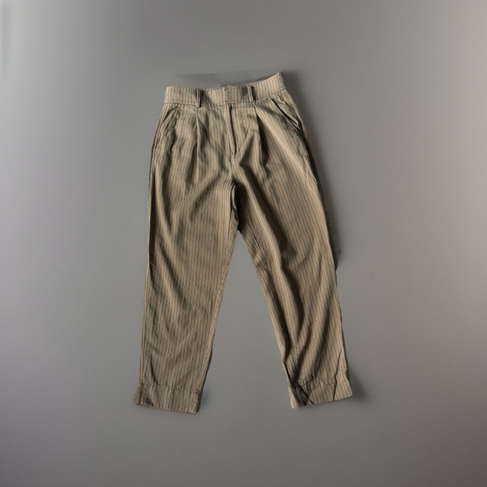Everlane Way-High Draper Tan and Blue Pinstripe Pant Women’s Size 6 Pleated